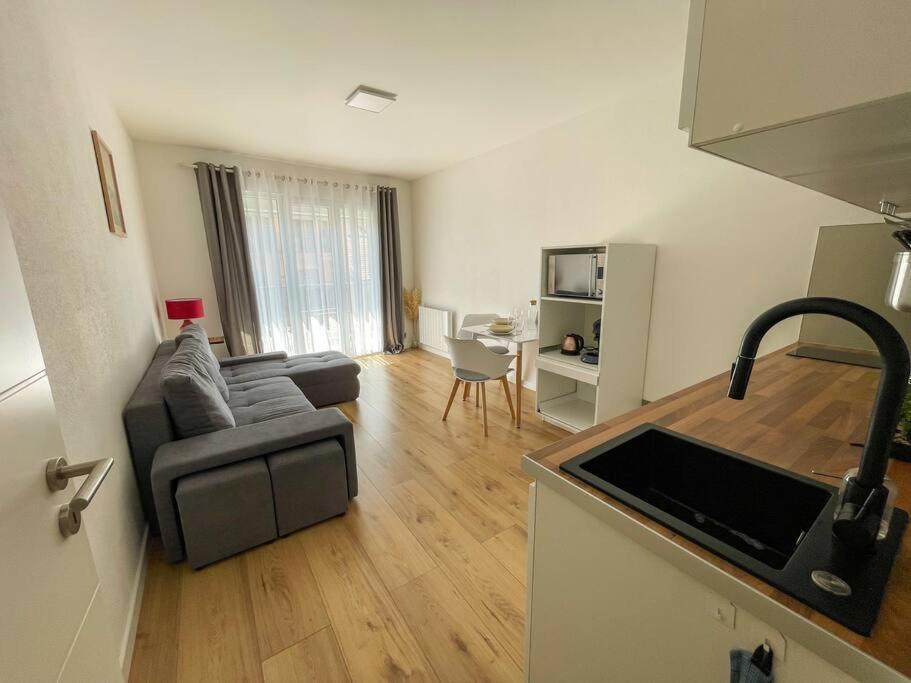 Le Lagon Bleu - Appt Wifi Parking Balcon Le Puy-en-Velay 외부 사진