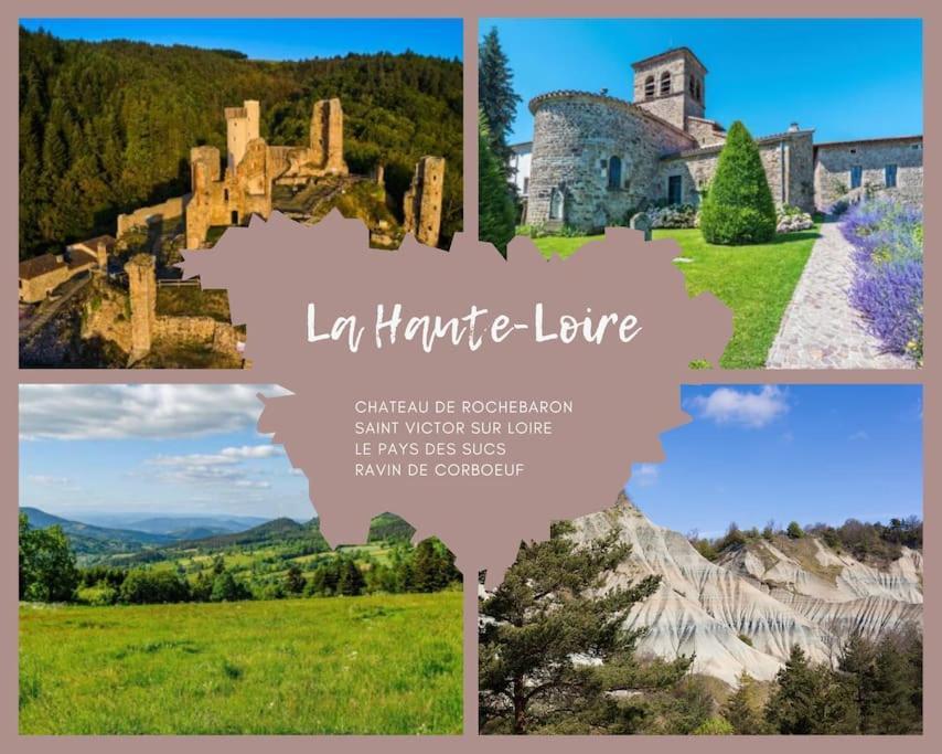Le Lagon Bleu - Appt Wifi Parking Balcon Le Puy-en-Velay 외부 사진