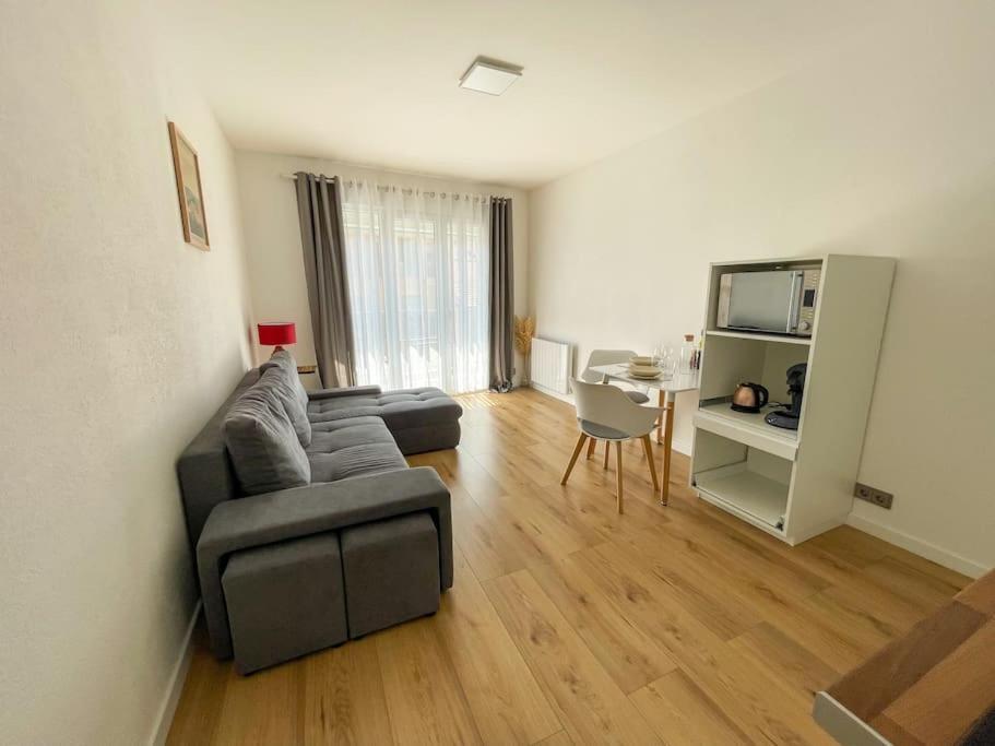 Le Lagon Bleu - Appt Wifi Parking Balcon Le Puy-en-Velay 외부 사진