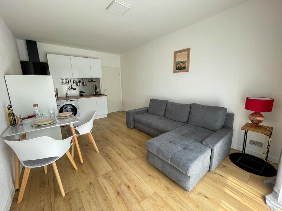 Le Lagon Bleu - Appt Wifi Parking Balcon Le Puy-en-Velay 외부 사진