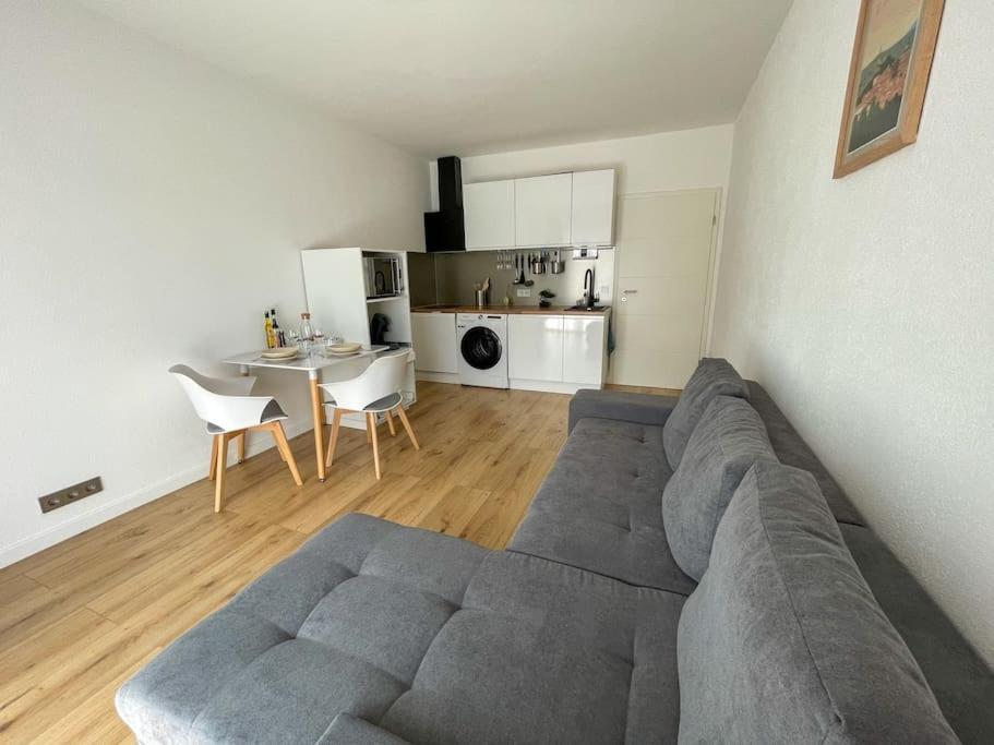 Le Lagon Bleu - Appt Wifi Parking Balcon Le Puy-en-Velay 외부 사진