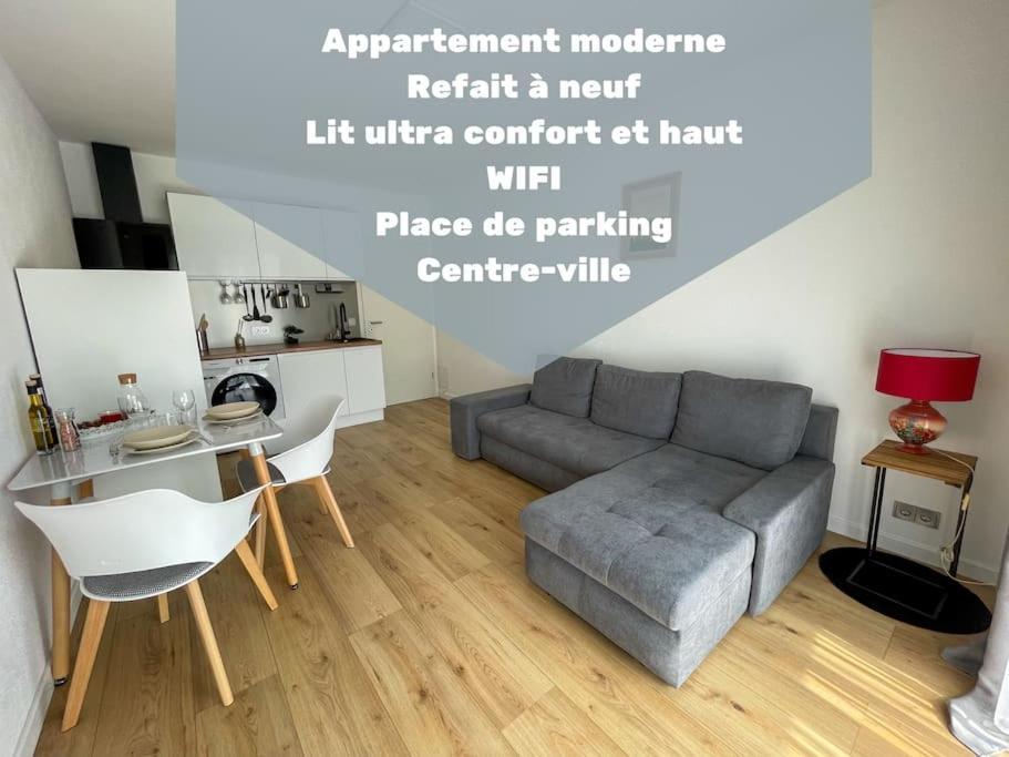 Le Lagon Bleu - Appt Wifi Parking Balcon Le Puy-en-Velay 외부 사진